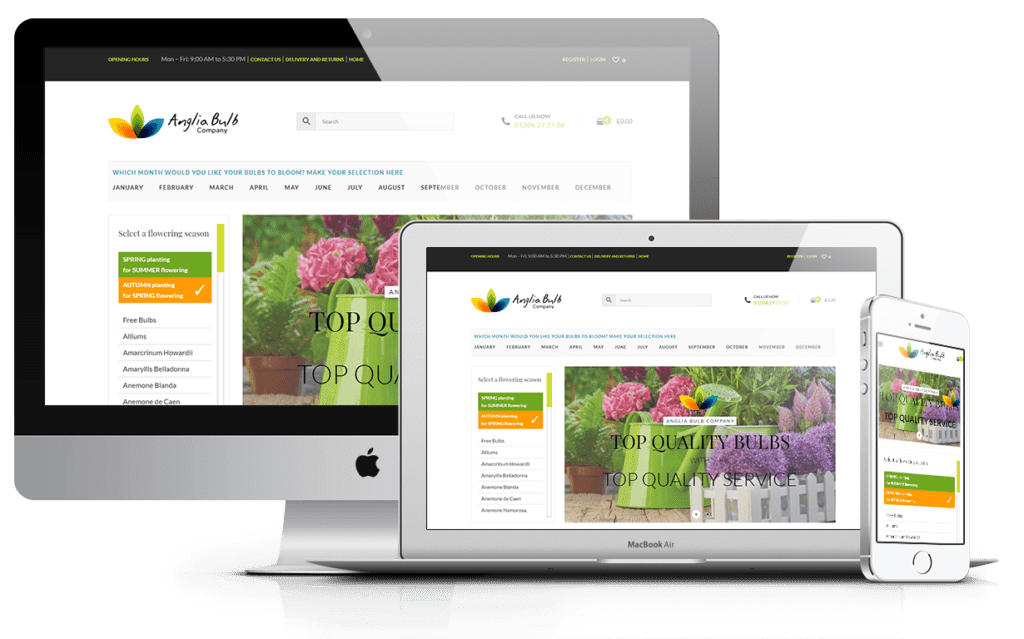Anglia Bulbs Website Development
